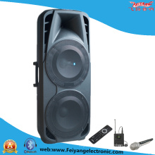 Double 15′′ Inch Professional Hifi Stag Speaker F86